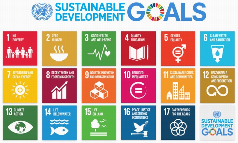 United Nations Sustainable Development Goals